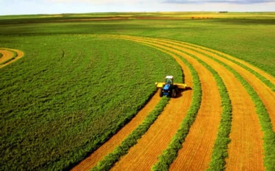 📢 Чи може фізична особа дооцінити майно та внести дорого у статутний капітал ТОВ?