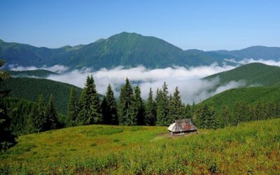 Перерахунок ПДВ за ст. 199 ПКУ