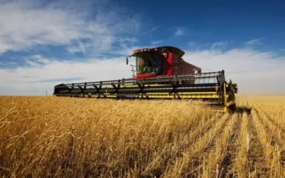 Аграрії прифронтових територій можуть отримати компенсацію за пошкоджені посіви